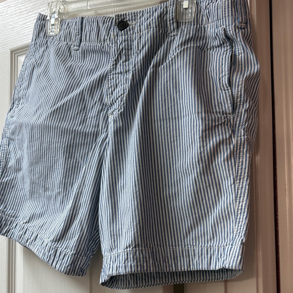 Blue and White Striped Shorts